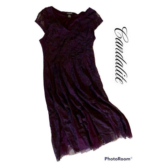 Candalite SZ S Woman’s Beautiful Dark Plum Purple Lace And Twill Dress - Picture 1 of 9